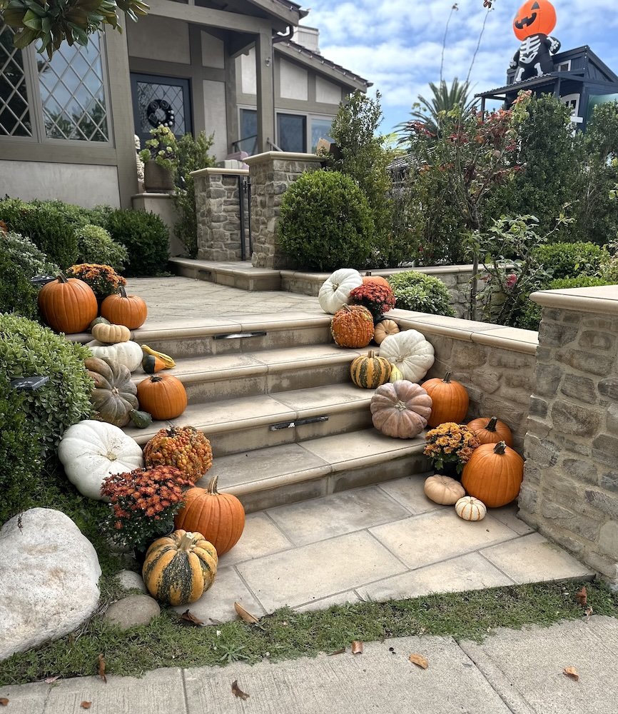 Fall pumpkins and mums lining garden steps up to a home entrance